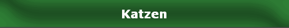Katzen